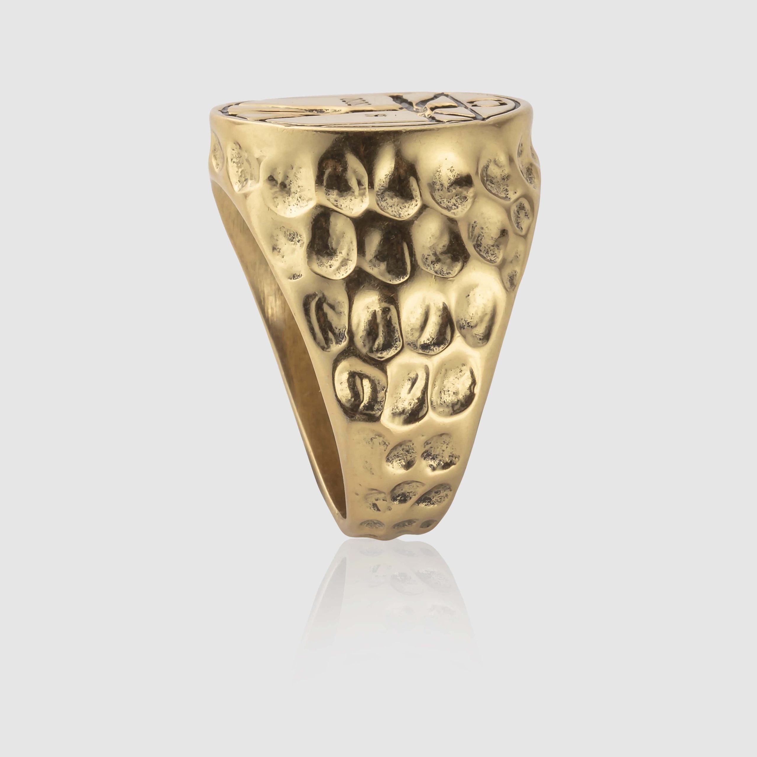 Vitruvian Ring (Gold) - Image 3
