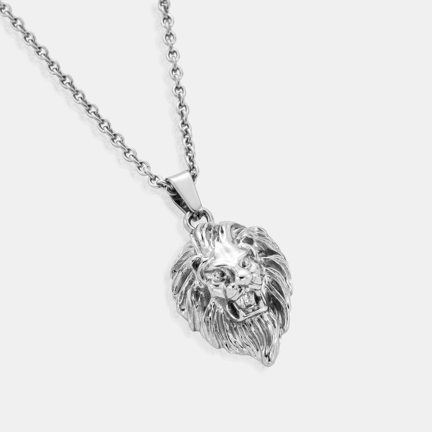 Lion (Silver) - Image 4